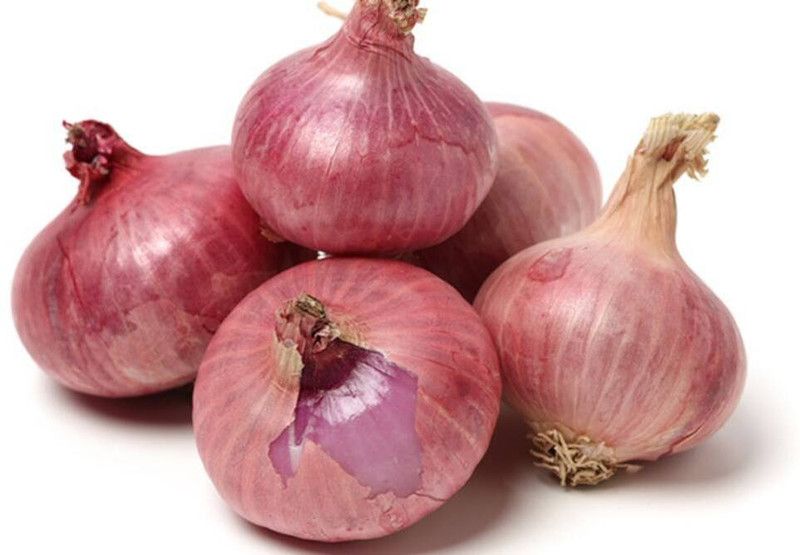 Arlo Onion Seed  (80 per packet)