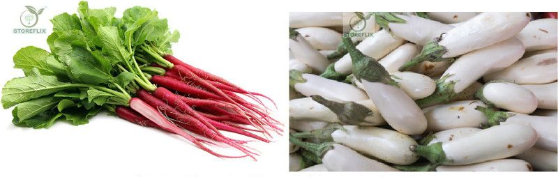 STOREFLIX brinjal white med long - radish Seed  (80 per packet)