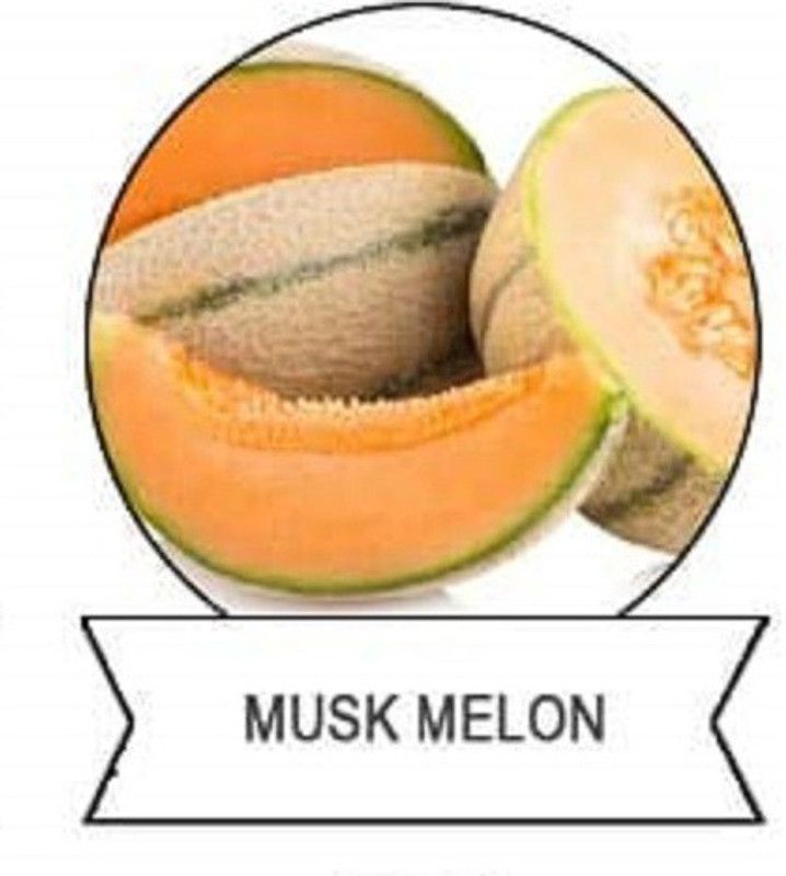 CYBEXIS F1 Hybrid Musk Melon Seeds400 Seeds Seed  (400 per packet)