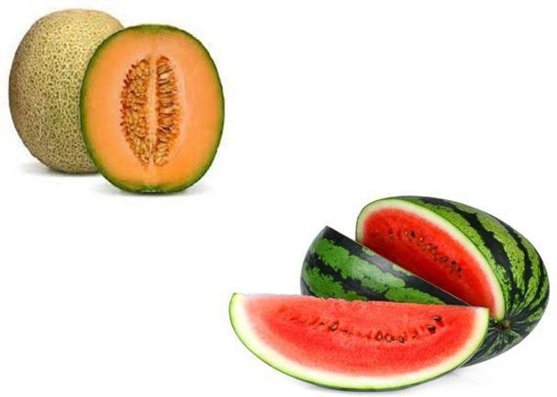 LYRS Hybrid Muskmelon & Watermelon Combo Seeds Seed  (270 per packet)