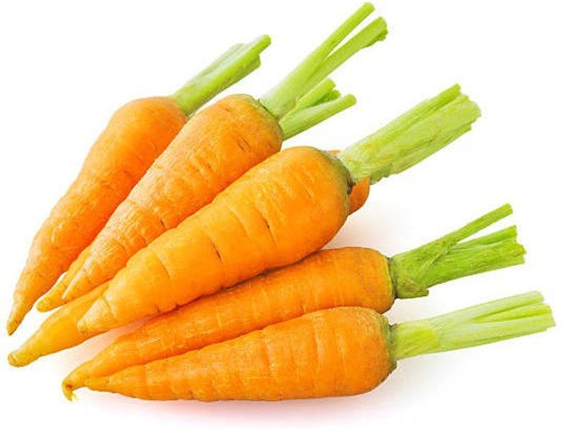 Zomoloco Carrot Seed  (35 per packet)