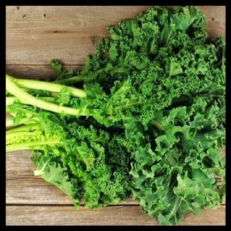 WILLVINE GBPUT-811 Black Seeded Simpson Lettuce Seed  (200 per packet)