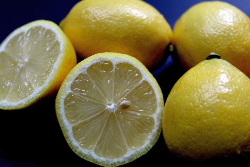 Klone Sweet Lime Citrus Limetta Seeds Seed  (5 per packet)