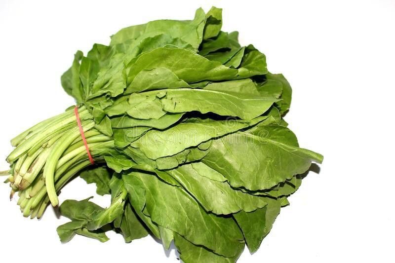 XOLDA Organic Palak Spinach Seed  (68 per packet)