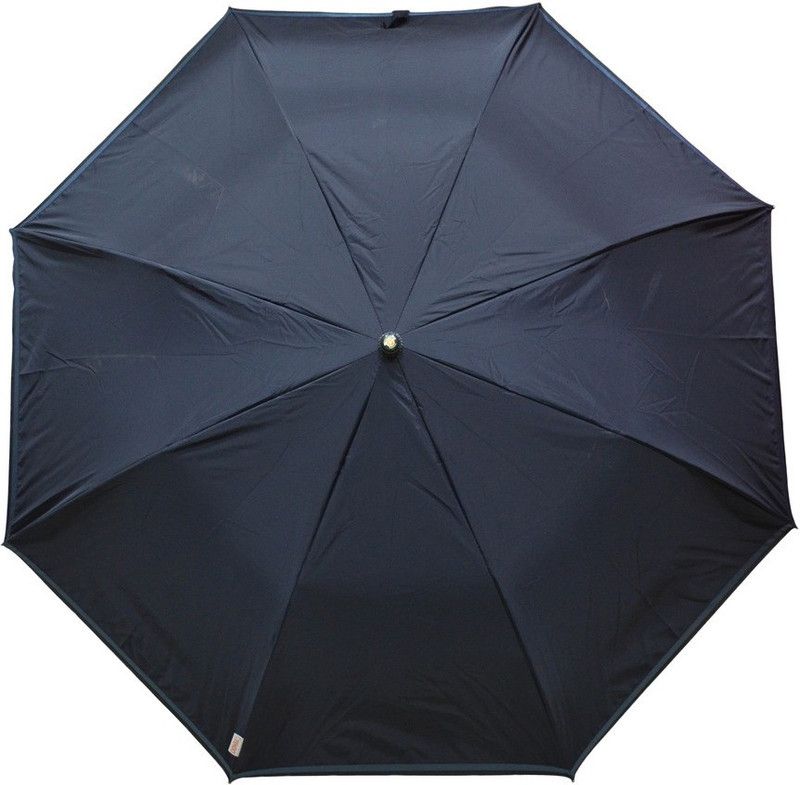 Fendo 2 Fold Auto Open Black Color_ 400138_B Umbrella  (Black)