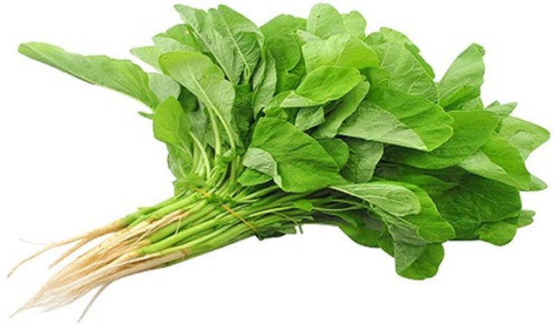 XOLDA Organic Amaranthus Green Seed  (71 per packet)