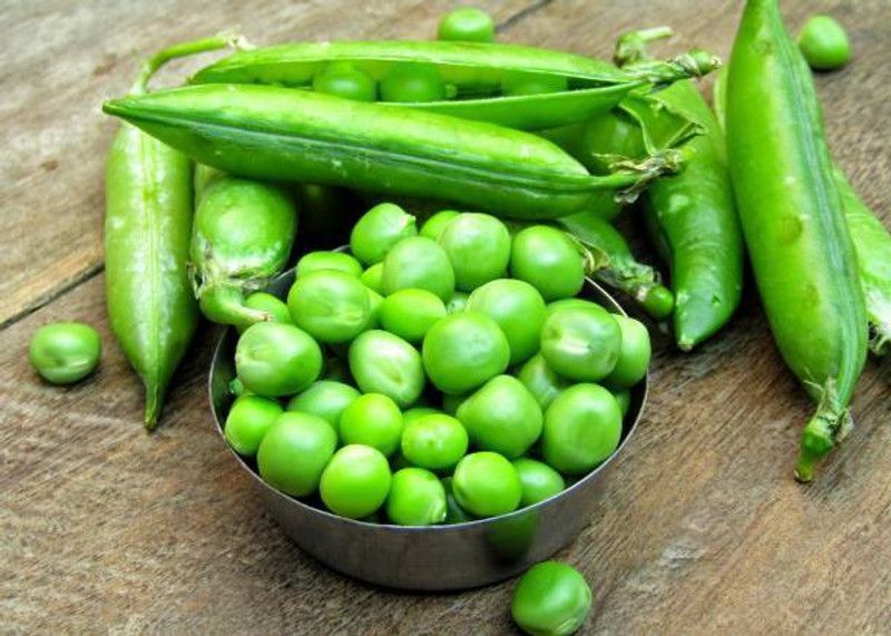 Splorias Peas Seed  (10 per packet)