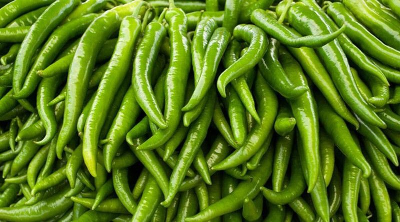 KANAYA Chilli Seeds Hot Jwala Hybrid Vegetable Seed  (425 per packet)