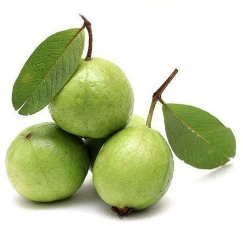Mozette Guava Amrood Seed  (46 per packet)