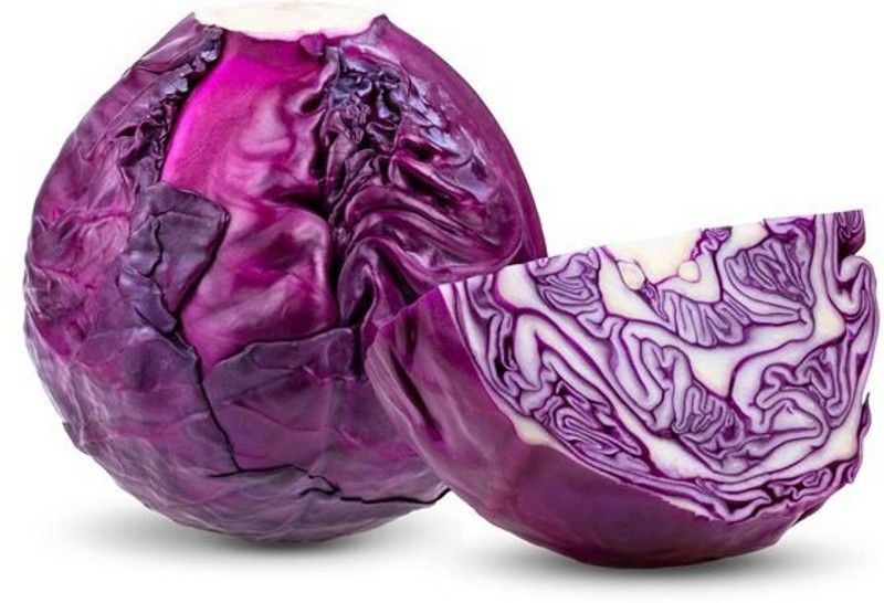 XOLDA Hybrid Cabbage Red Seed  (54 per packet)