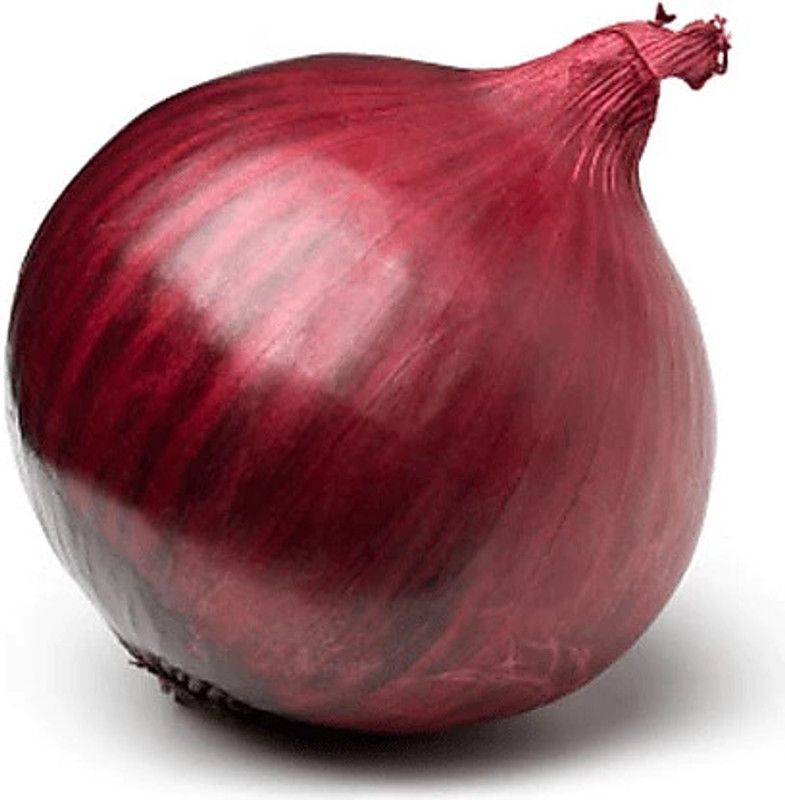 Mozette Organic Red oniion Seed  (39 per packet)