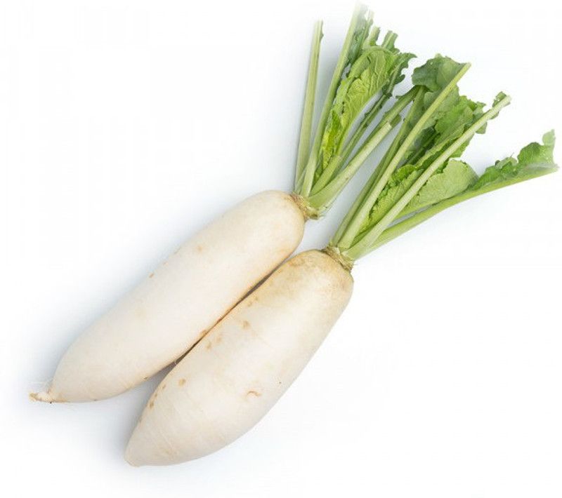 Mozette Radish Vegetable Seed  (48 per packet)