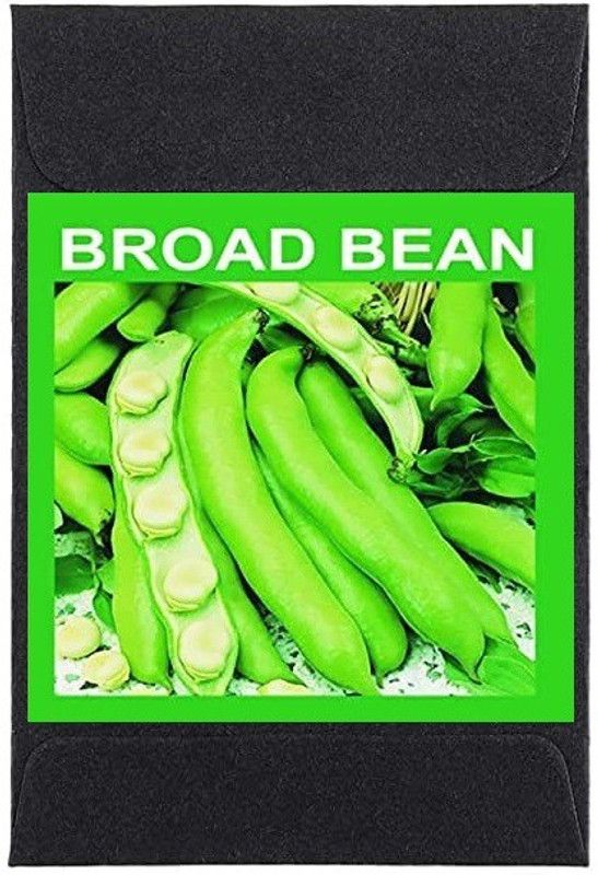 CYBEXIS Heirloom Broad Beans Seeds-100 Seeds Seed  (100 per packet)