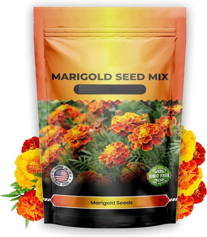 VibeX ® VLR-569 Premium Marigold Seeds Mix Seed  (500 per packet)