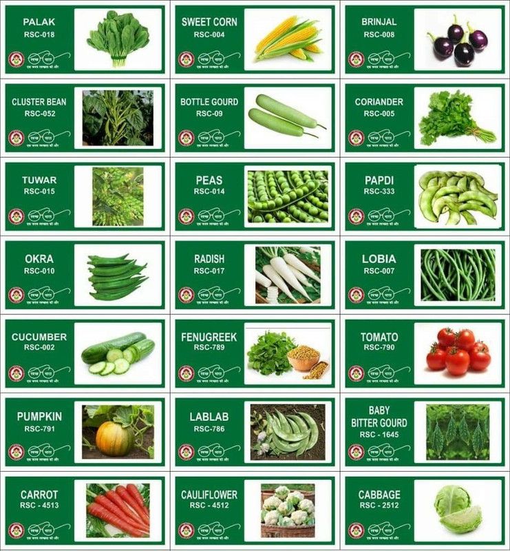 VibeX 21-Varieties-Hybrid Vegetable Seeds Combo Seed  (735 per packet)