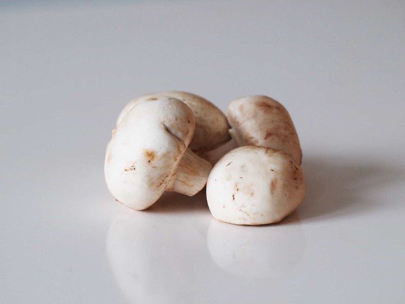 XOLDA Mushroom Herb Seed  (10 per packet)