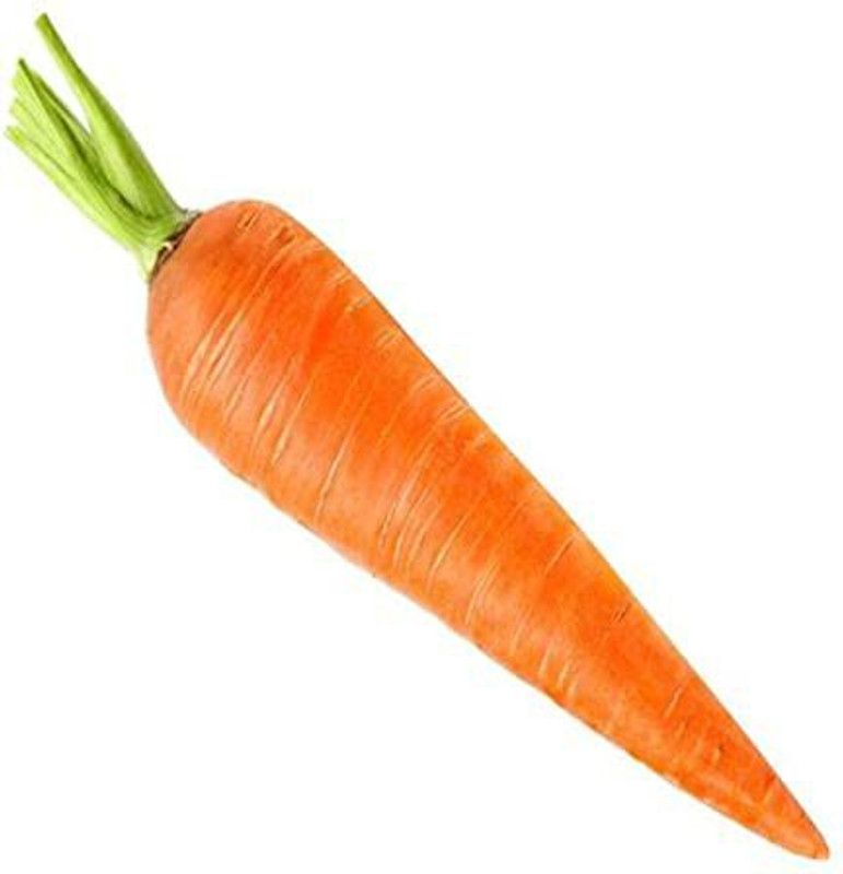 Mozette Carrot Seed  (88 per packet)