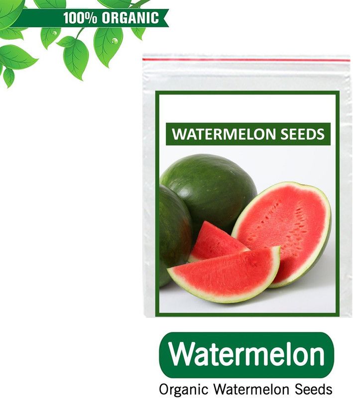 WILLVINE Organic Fruit Seeds - Watermelon Seed  (100 per packet)