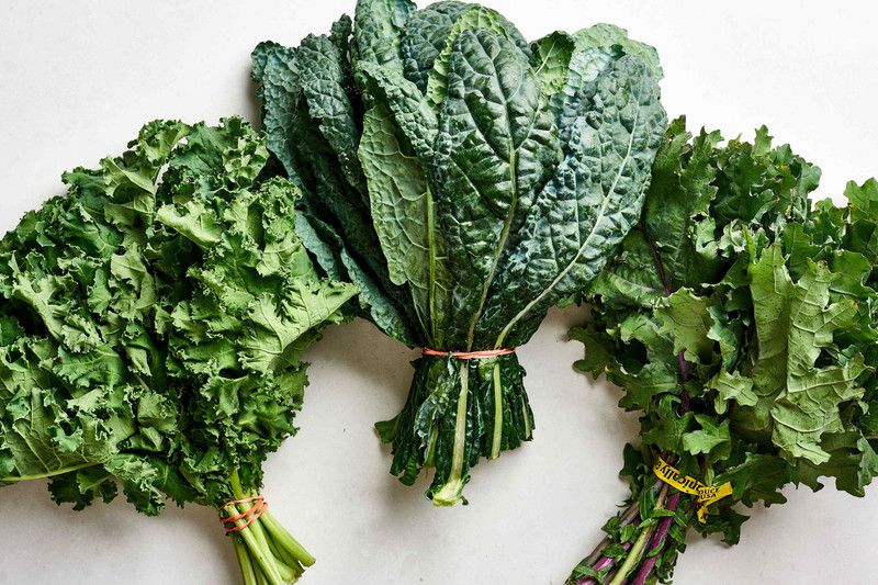 Paudha Green kale Seed  (21 per packet)