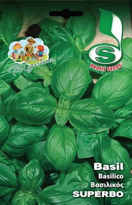 VibeX ® VXI-3 Basil Superbo Ocimum basilicum Seed  (1000 per packet)