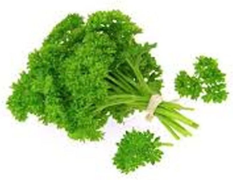 VibeX ® VMR-122 Parsley, Moss Curled Seed  (500 per packet)