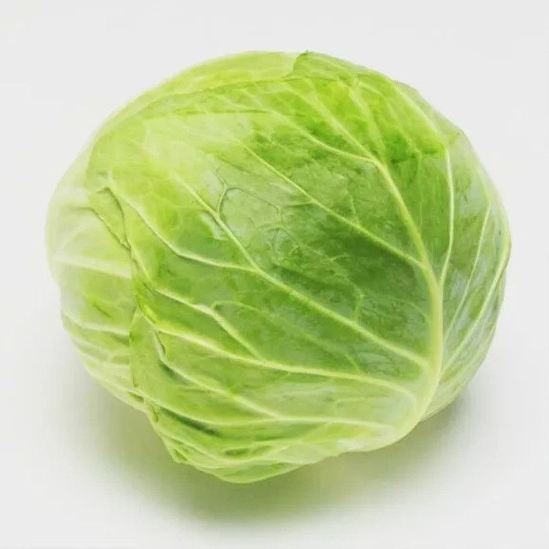 MYLAWN Green Cabbage (बंधा गोभी के बीज) Seed  (100 per packet)