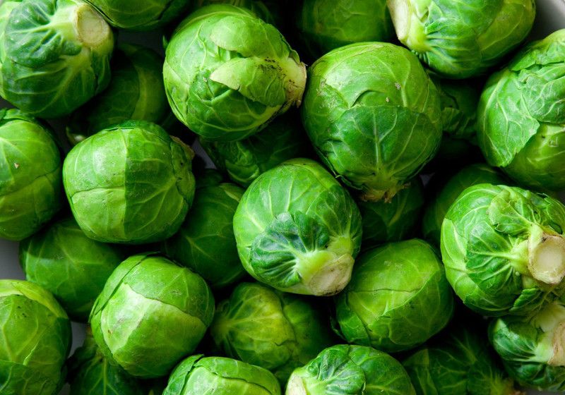 Paudha Brussels Sprout Seed  (17 per packet)