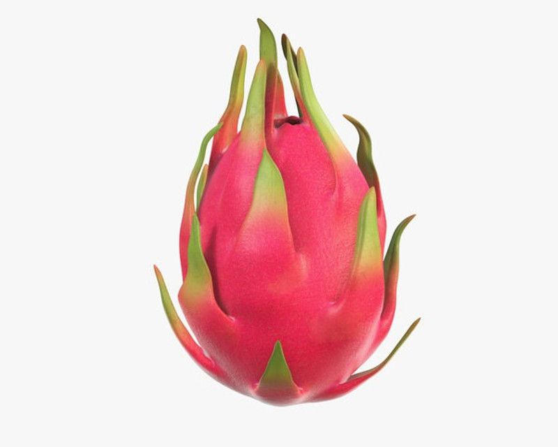 XOLDA Dragon Fruit Seed  (25 per packet)