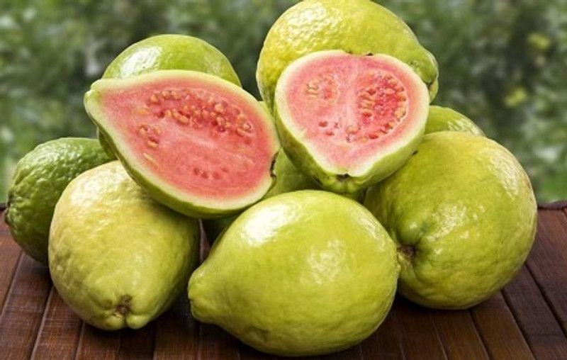 XOLDA Organic guava Seed  (20 per packet)