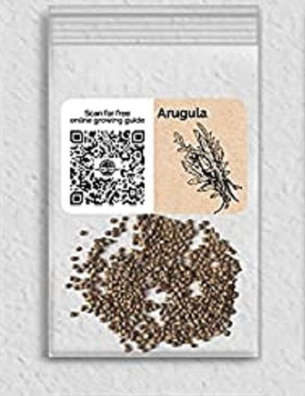WILLVINE Arugula Seed  (2500 per packet)