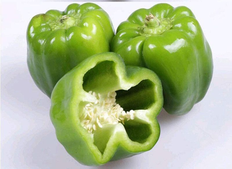 Qualtivate Green Capsicum Seeds Seed  (500 per packet)