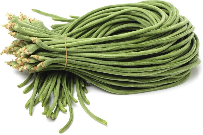 LYRS Imported YardLong Beans Seed For Home Planting Gardening - 9 Seed  (9 per packet)