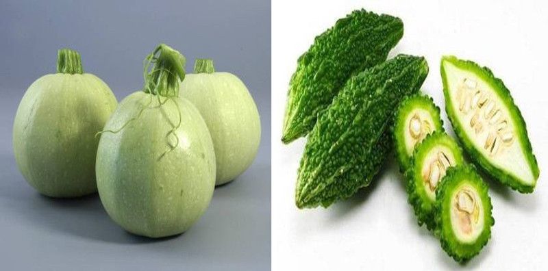 xcentax BITTER GOURD, Bottle Gourd Seed  (12 per packet)
