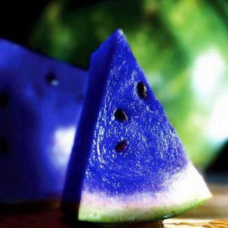 CYBEXIS Garden New Variety Plant Blue Watermelon Seeds 400 Seeds Seed  (400 per packet)