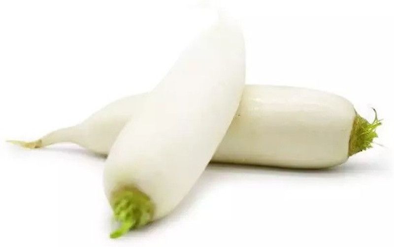 VINTI High Quality Organic White Radish Seed  (500 per packet)