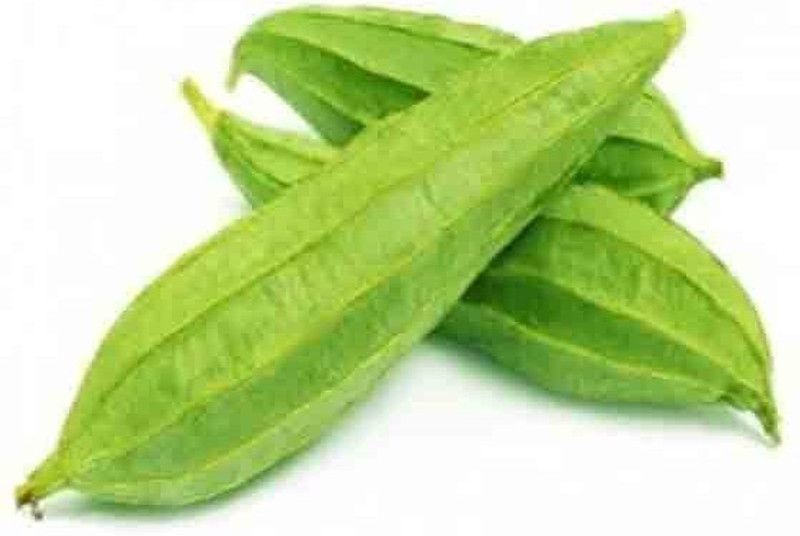 UGRA Ram Torai Tori Seed  (200 per packet)