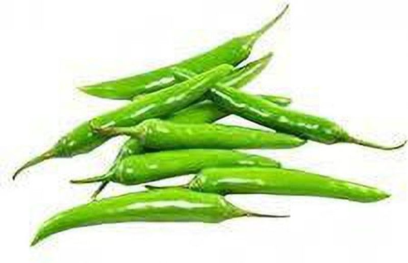 KANAYA Chilli Seeds | Mirchi Ke Beej Chilli F1 Hybrid Vegetable Seed  (60 per packet)