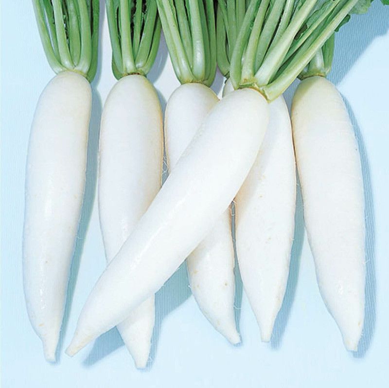 WYCAL Radish Valiant Seed  (300 per packet)