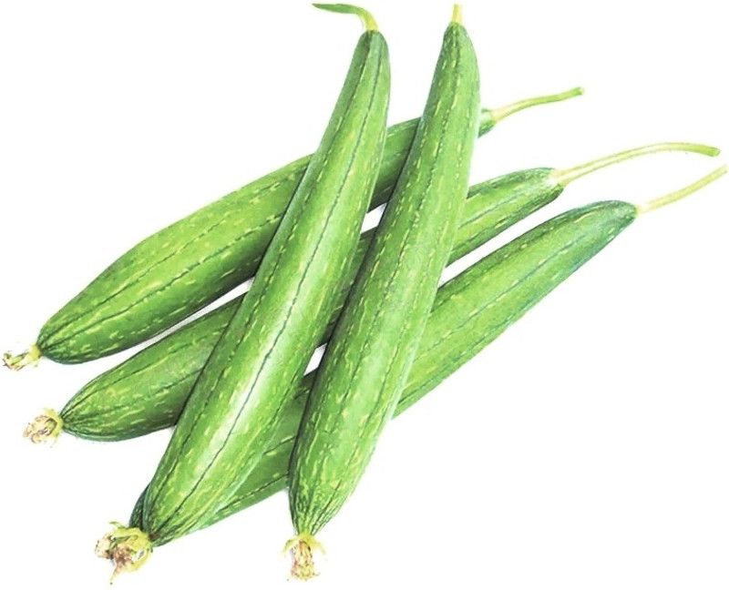 Paudha RidgeGourd/Turai Seed  (54 per packet)