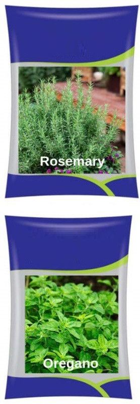 VibeX Rosemary & Oregano Herb Combo Seed  (40 per packet)