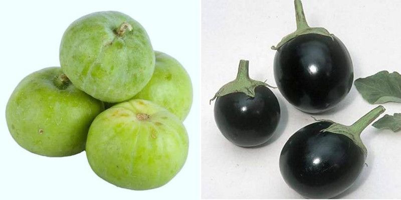 xcentax CHU - CHU brinjal, Tinda Seed Seed  (20 per packet)