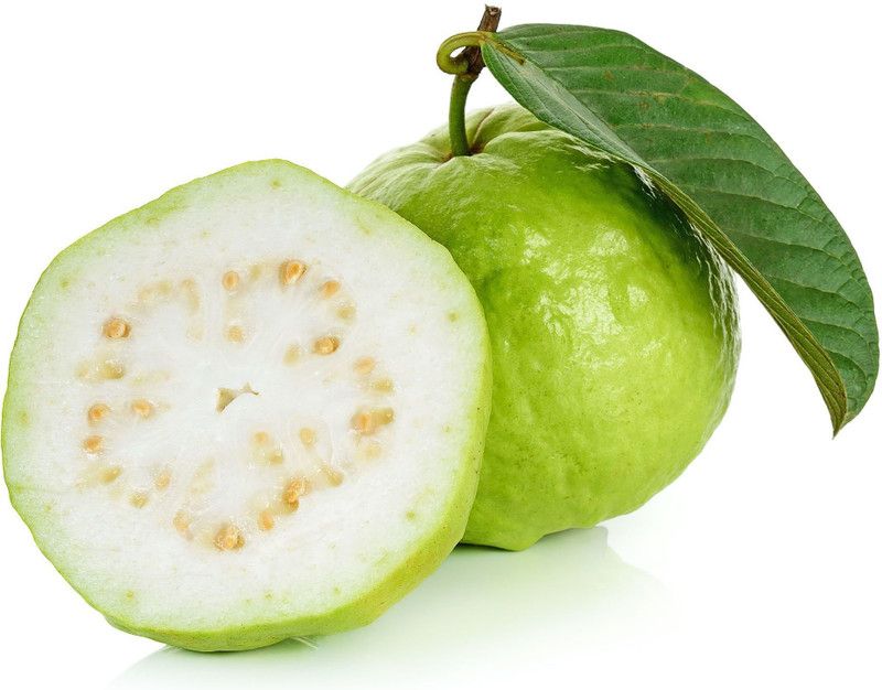 XOLDA Guava Hybrid Seed  (15 per packet)