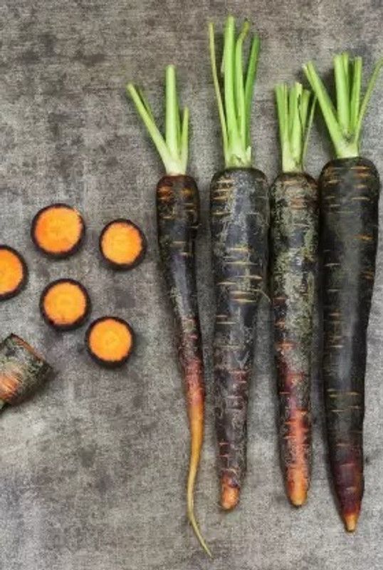 MAA Carrot Black, Gajar Seed  (10 per packet)