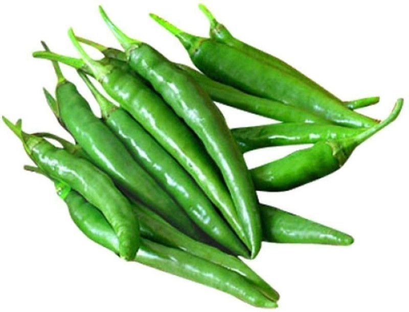 KANAYA Chilli Seed  (200 per packet)