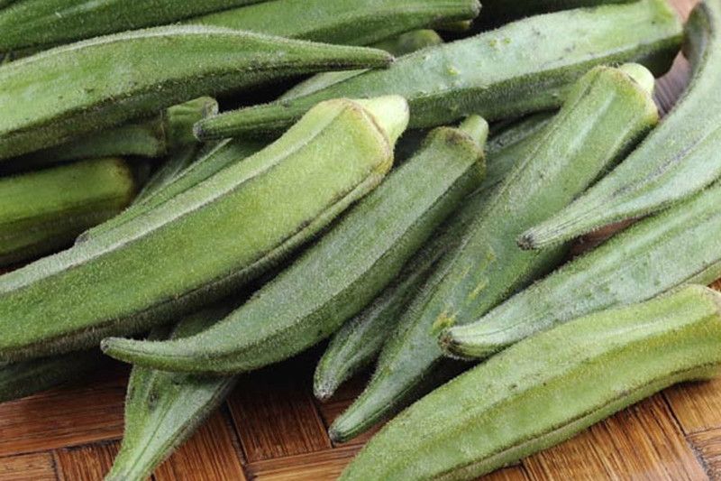 Nodoc Oraganic Okra Seed  (31 per packet)