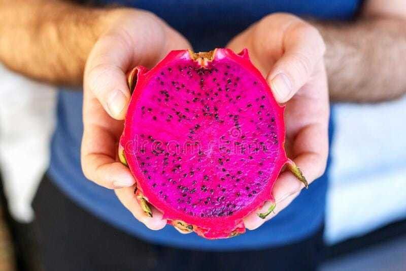 Oliver hybrid dragon fruit seed Seed  (381 per packet)