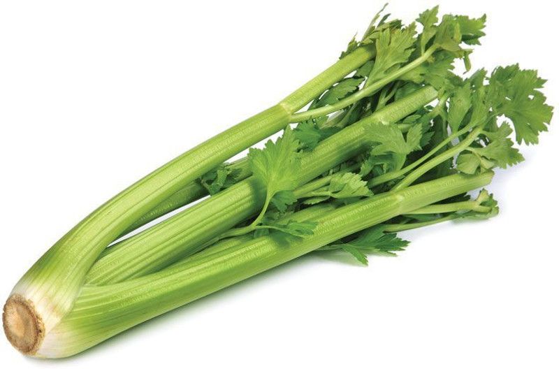 Nodoc Celery Seed  (103 per packet)