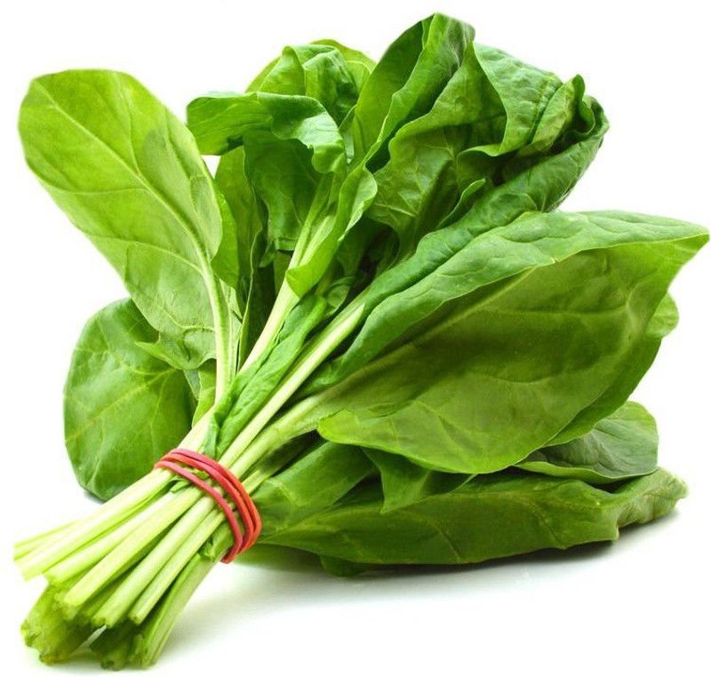 Nodoc Palak Seed  (88 per packet)