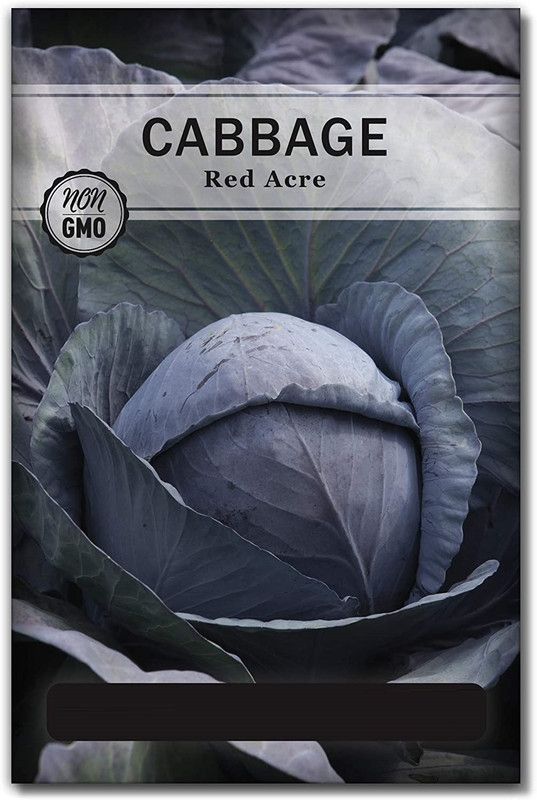 WILLVINE Red Acre Cabbage Seeds Seed  (200 per packet)