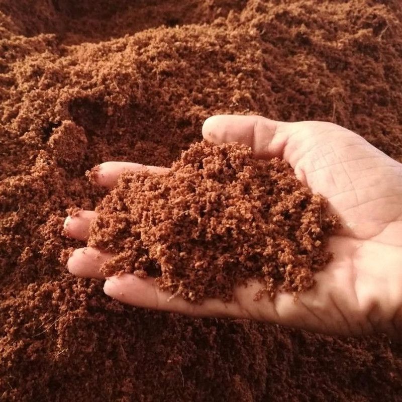GoCoir Products Cocopeat Fine Quality Washed Pith for Garden Soil, Manure  (5 kg, Powder)